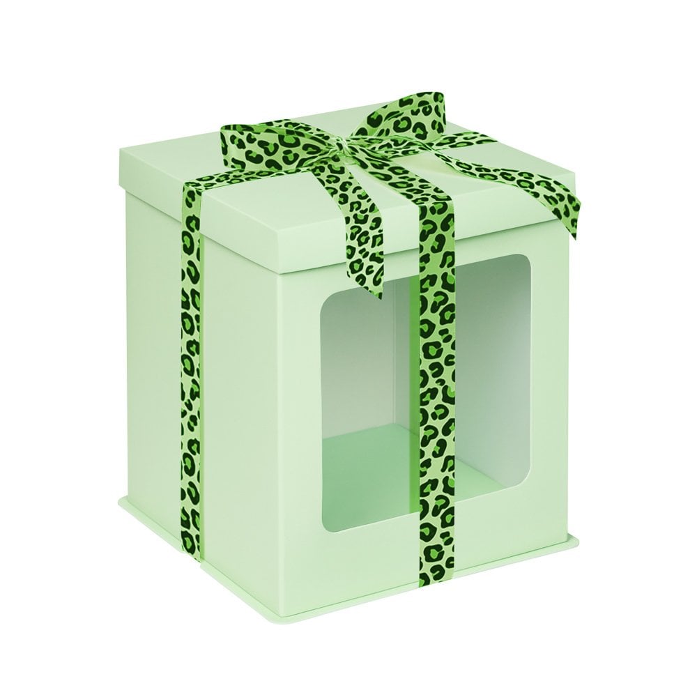 Mint Tall Stylish Cake Box with Window